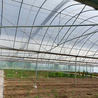 Agricultural film application